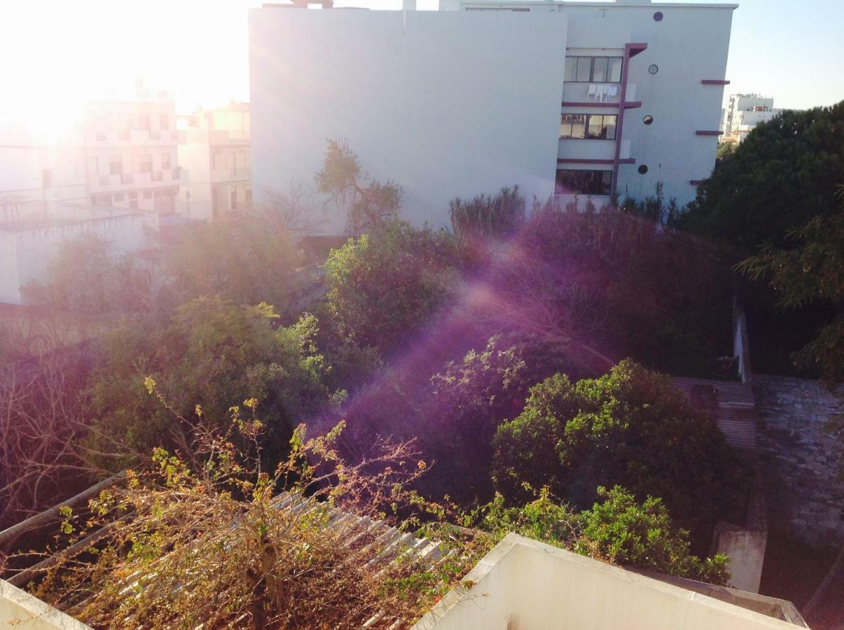사우 브라스 드 알포르텔 Pensao Algarve B&B 외부 사진